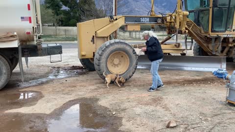 Heavy Equipment-Vehicle search WinnieBelle