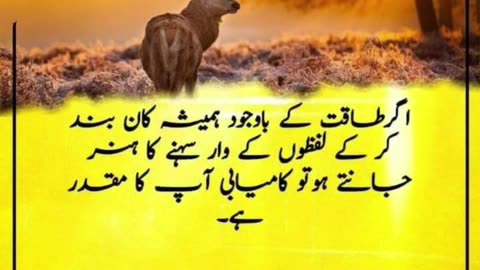 popular urdu Quotes