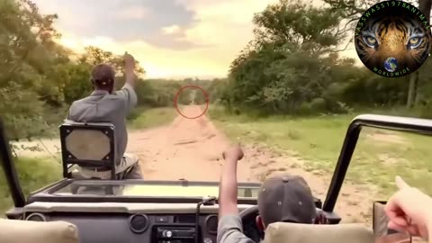 30 Times African Safari Trips Went Horribly Wrong