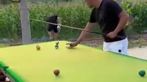 Funny billiard video