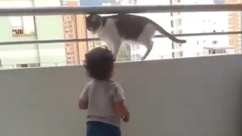 Naughty child saved by cat