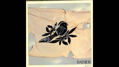 The Walking Wounded - Bayside