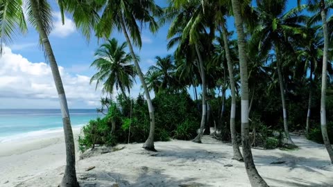 Beautiful Beach