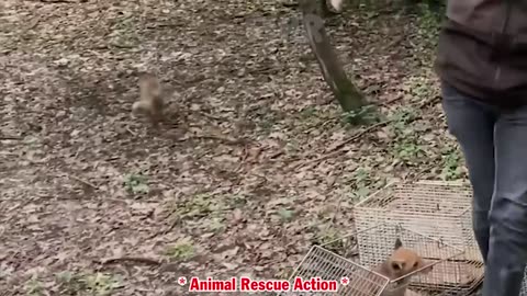 35 SHOCKING When Animals Go On A Rampage! Interesting Animal Moments CAUGHT ON CAMERA