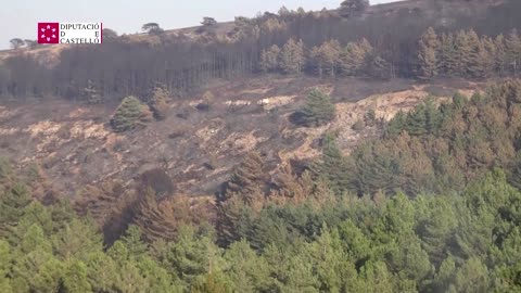 Spanish fight forest fire from air and ground