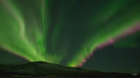 CRAZY PINK AURORA in Tromsø, Norway 😱 - real-time 4K ProRes RAW