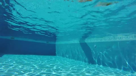 Underwater Footage Of A Guy Bumping His Nose Against Pool Floor