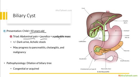 Neonatal Jaundice - Direct