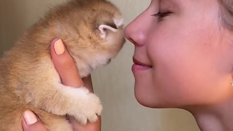 kid kissing and holding the kitten new video by funny cat videos 2021