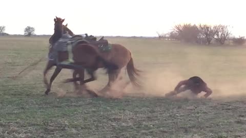 Mike And Jerry Take A Tumble