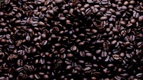 Adored by the masses, coffee beans