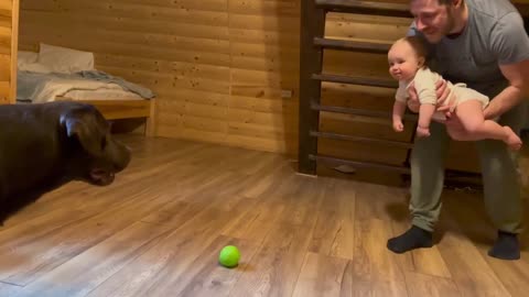 The Cutest Football Game! Daddy, My Baby Against Our Dog!