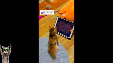 Funniest Cats And Dogs Videos 😂 - Best Funny Animal Videos 2023 😅 # 11