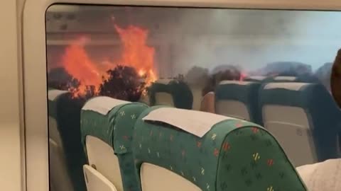 Zamora, Spain: A train travelling through the Galicia region was forced to a halt