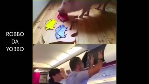 Pig Puzzle