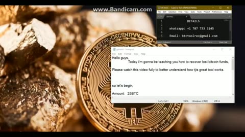 All about the Bitcoin Recovery process with our software