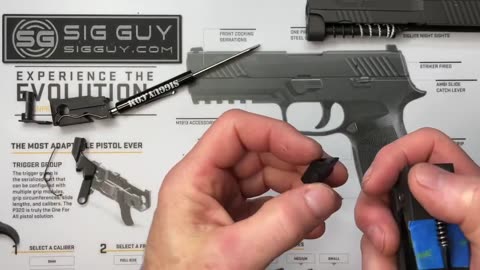 SIG Sauer Classic P series hammer removal and installation