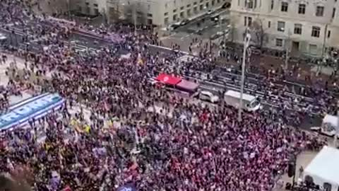 Trump Rally!