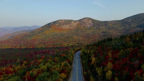 Royalty Free Video For Youtube - Free Stock Videos - Autumn Foliage Landscape