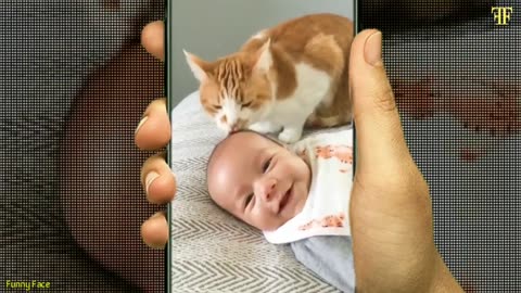 small child playing with cat