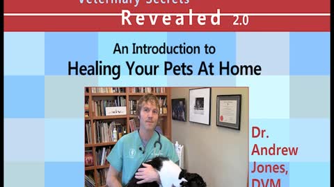 Healing Your Pets At Home Video