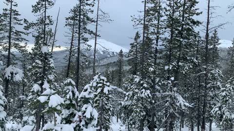 Mountain Summits in Multiple Directions – Central Oregon – Vista Butte Sno-Park – 4K