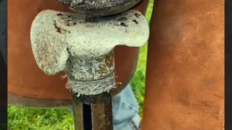 Farrier horse shoe cleaning #farrier #horse #animalwelfare #asmr #satisfysensation