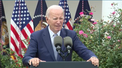 Biden: "If you need 80 shots in a magazine, you shouldn't own a gun"