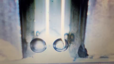 Voltrolysis Bubbles