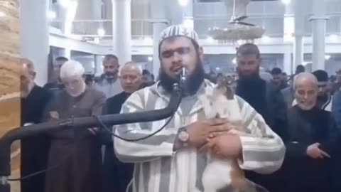 Cat kissing Imam