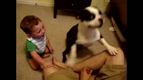 Cute Dogs And Adorable Babies: Compilation