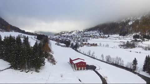 Bees on the Alps in winter