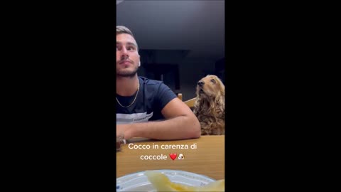 Cute Dog Reminds Human About Kisses