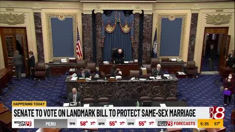 Senate to vote on landmark bill to protect same sex marriage