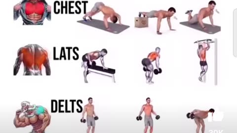 Full body workout 💪