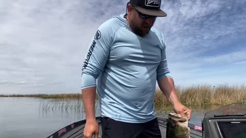 March 27 - 2022 Delta Bass Fishing