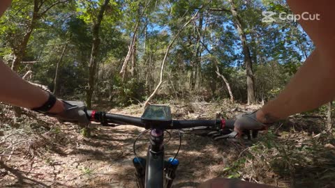 #UWF #P.O.R.C #MTB Pensacola's one and only Trail