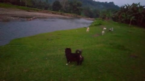 Iligan Mindanao Philippines, Dusk River View