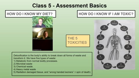 Personal Alkemy Intro to Health Class 5 of 10 REVIEW Dec. 28 2023 - Free Health Assessment