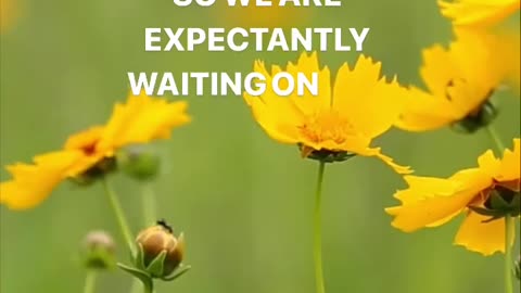 Wait on the Lord