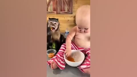 Funny Viral Baby Videos