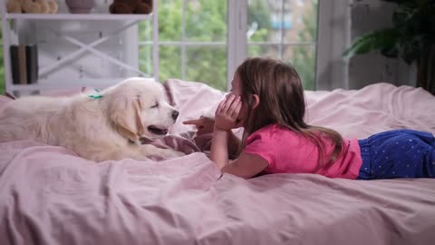 Side view of preschooler child and cute golden retriever pet lying on comfortable bed