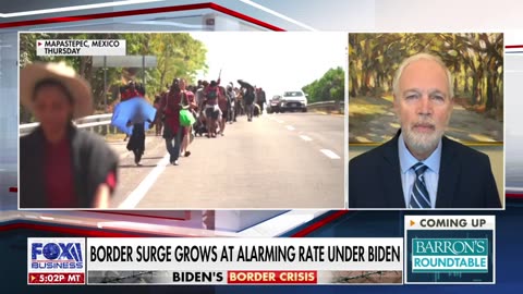 Biden and his Democratic allies 'caused' the border crisis: Ron Johnson