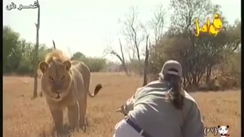 man against lion