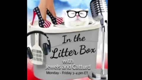 LOOK SQUIRREL - In the Litter Box w/ Jewels & Catturd 1/26/2022 - Ep. 6