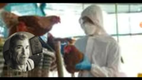 NOW THEY'RE BLAMING HUMANS & THE VEHICLES WE DRIVE FOR THE FAKE BIRD FLU TRANSMISSION!