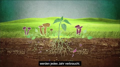 Need to Grow DE Untertitel