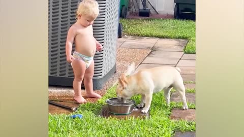 Best_video_of_Cute_Babies_and_Pets_-_Funny_Baby_and_Pet🤣😍