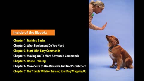 5 EASY STEPS TO TRAIN YOUR DOGS (FAST RESULT)