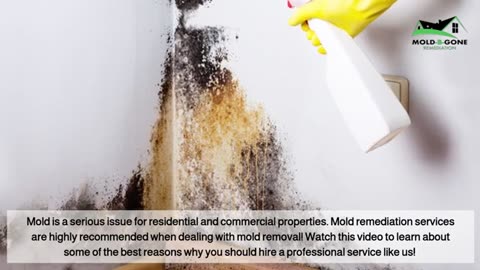 Why You Should Hire a Professional Mold Remediation Service in Atlanta